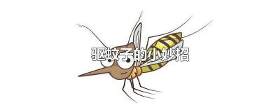 ​驱除蚊子的小妙招视频播放 灭蚊子小妙招视频
