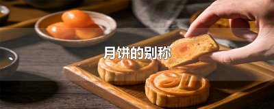 ​月饼的别称