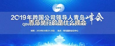 ​青岛举行的是什么峰会