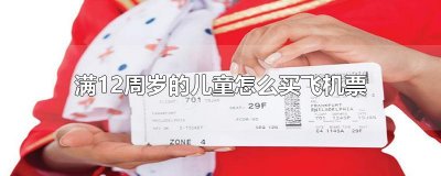 ​满12周岁的儿童怎么买飞机票