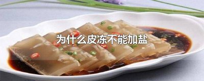 ​为什么皮冻不能加盐水 皮冻可以加盐吗