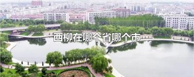 ​西柳在哪个省哪个市