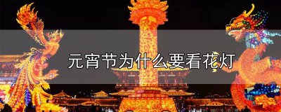 ​元宵节为什么要看花灯(150字) 元宵节为什么要看花灯吃汤圆