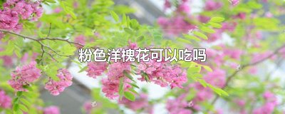 ​粉色洋槐花可以吃吗