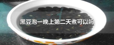 ​黑豆泡一晚上第二天煮可以吗
