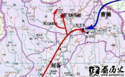 ​汉中之战双方兵力投入如何？