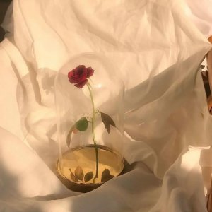 ​女孩子想要的“仪式感”到底是什么？