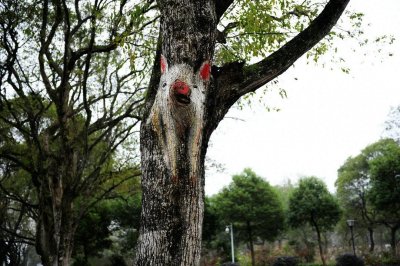 ​猪上树了！安徽一家景区现彩绘“树画”，各种动物爬树身