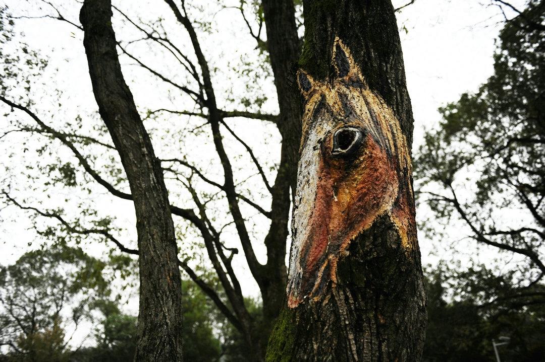 猪上树了！安徽一家景区现彩绘“树画”，各种动物爬树身