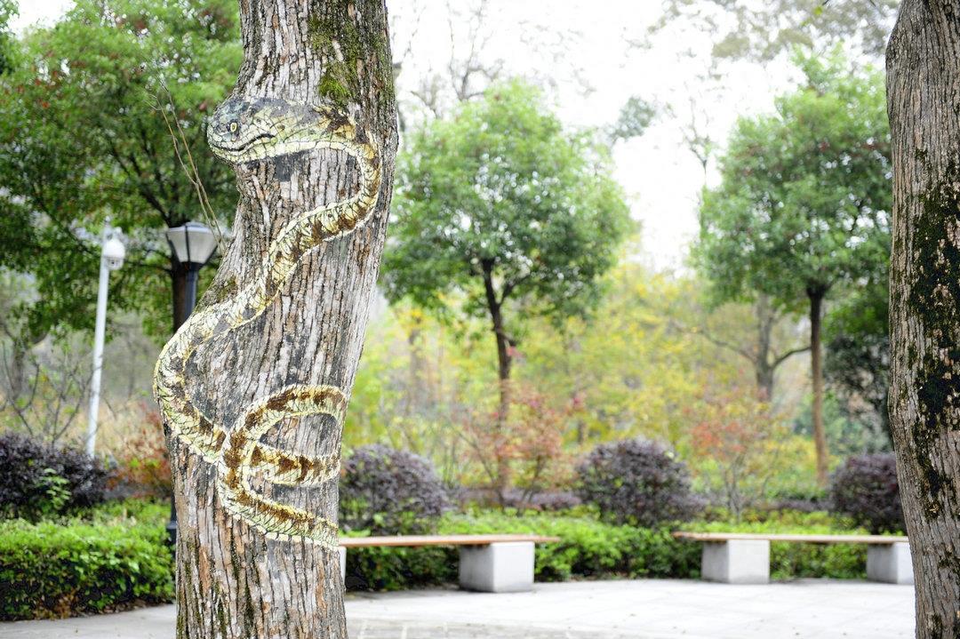 猪上树了！安徽一家景区现彩绘“树画”，各种动物爬树身