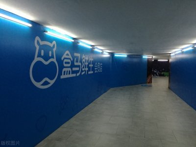 ​盒马鲜生风波：全职变外包，五险一金不翼而飞？背后的真相是