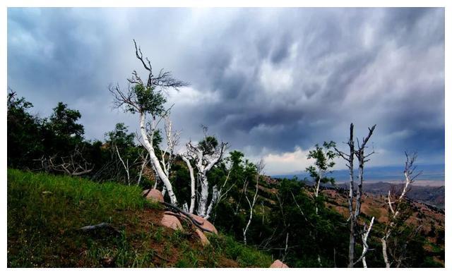 金秋，遇见梅力更