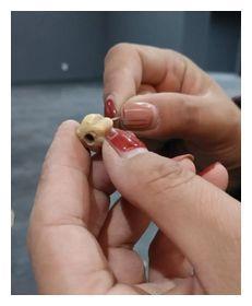 金秋，遇见梅力更