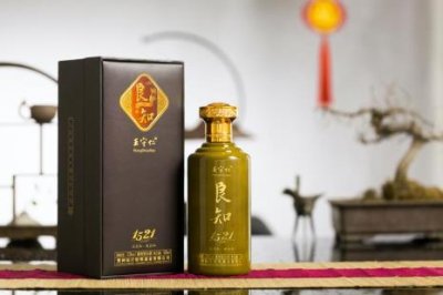 ​怎么评价明朝的王守仁的一生