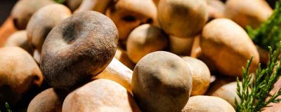 ​干香菇怎样浸泡味更鲜 干香菇怎样浸泡味更鲜?