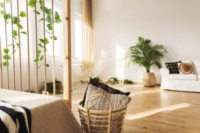 ​荷兰菊秋天怎么养