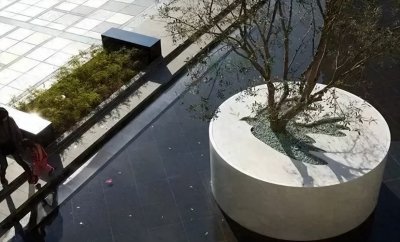 ​树池随处可见，但这些设计技巧你都知道吗？