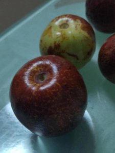 ​什么是命运？