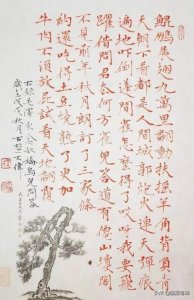 ​忆伟人诗词之 念奴娇·鸟儿问答