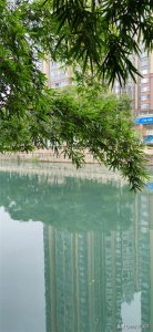 ​什么是“内保外贷”？