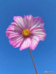 ​人有善念，天必佑之，只因上天有好生之德。所以，行善定有好报