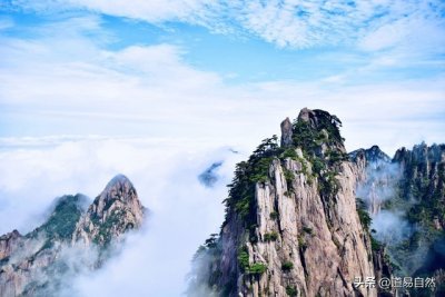 ​“谷神”是个什么东东？