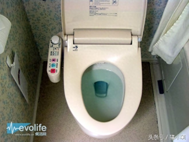 国人都去疯抢的日本马桶盖究竟有多神？