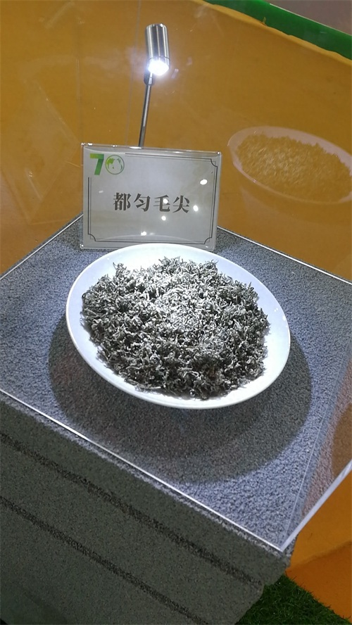 这十大名茶，你是否都喝过？