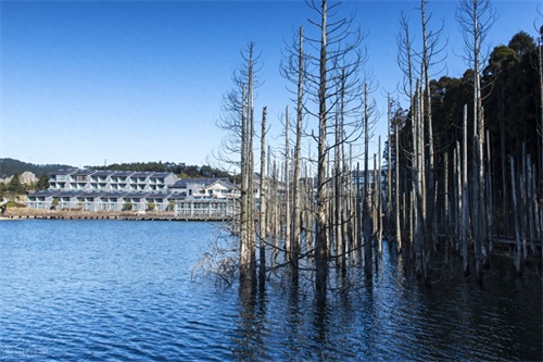 明月何时照人来——5A景区明月山