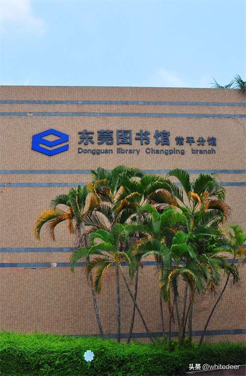 随拍东莞东部中心 --- 常平镇