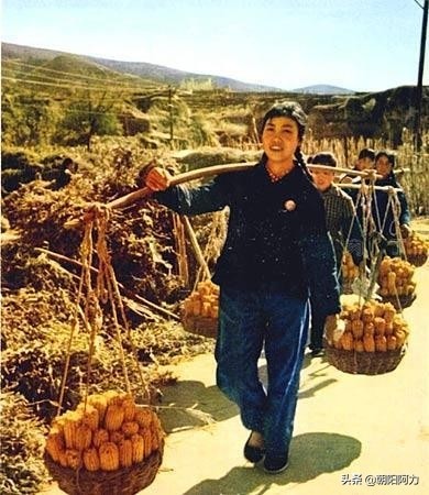 一组大寨“铁姑娘”郭凤莲照片