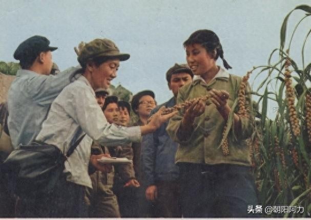 一组大寨“铁姑娘”郭凤莲照片