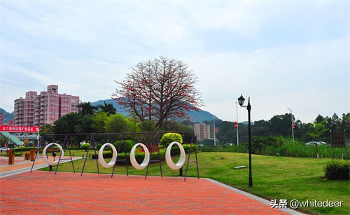 随拍东莞樟木头镇---曾经号称小香港