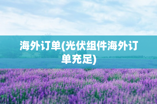 海外订单(光伏组件海外订单充足)