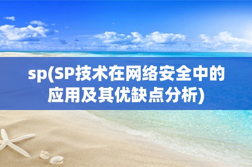 sp(SP技术在网络安全中的应用及其优缺点分析)