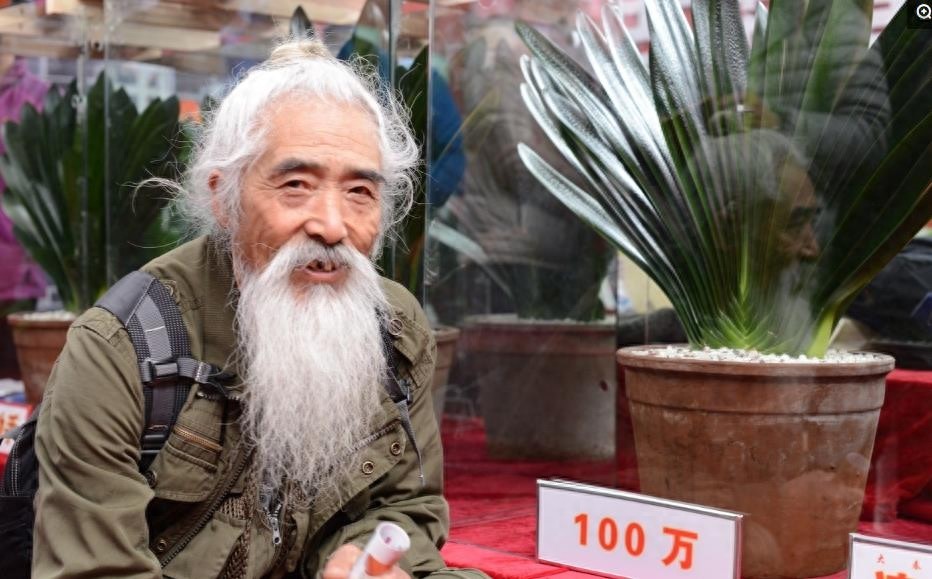 天价君子兰让人望而生畏，可以看看也可以和它合影，就是不能触摸