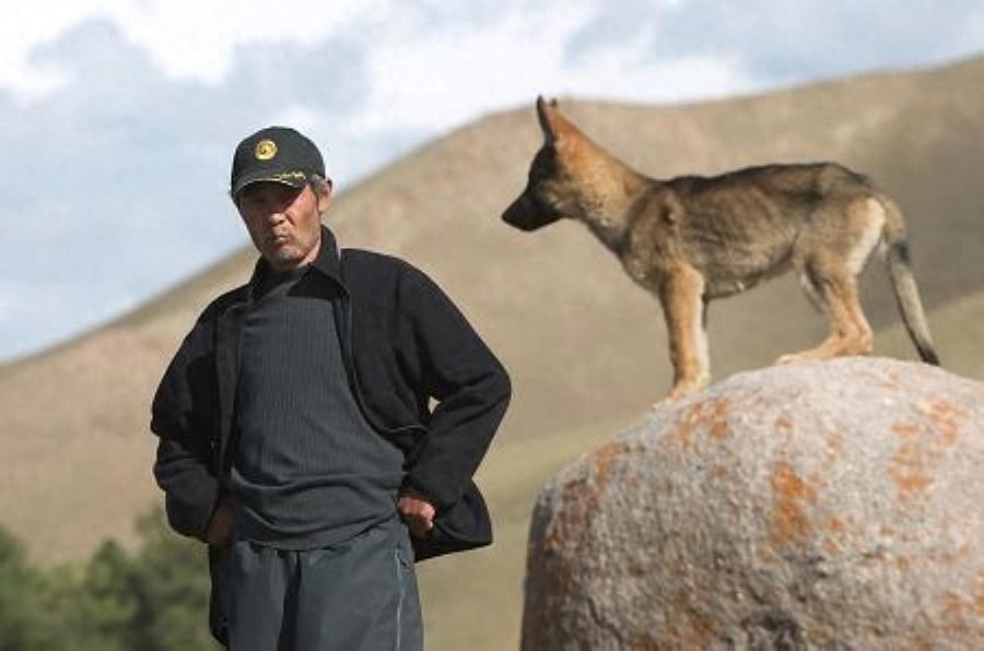 组图：著名导演田壮壮