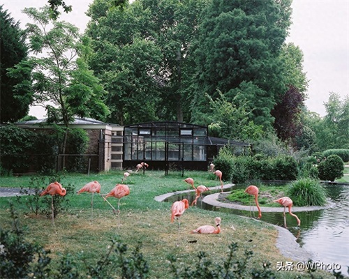 比利时安特卫普，一座前卫时尚之城