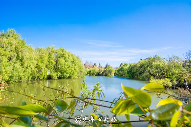 云南丽江大理泸沽湖攻略（泸沽湖超详走心攻略送上）(9)