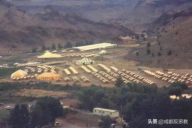 叙利亚引爆（叙利亚毒气袭击事件现场惨烈）(21)