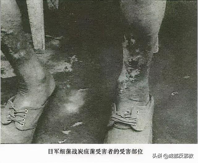 叙利亚引爆（叙利亚毒气袭击事件现场惨烈）(13)