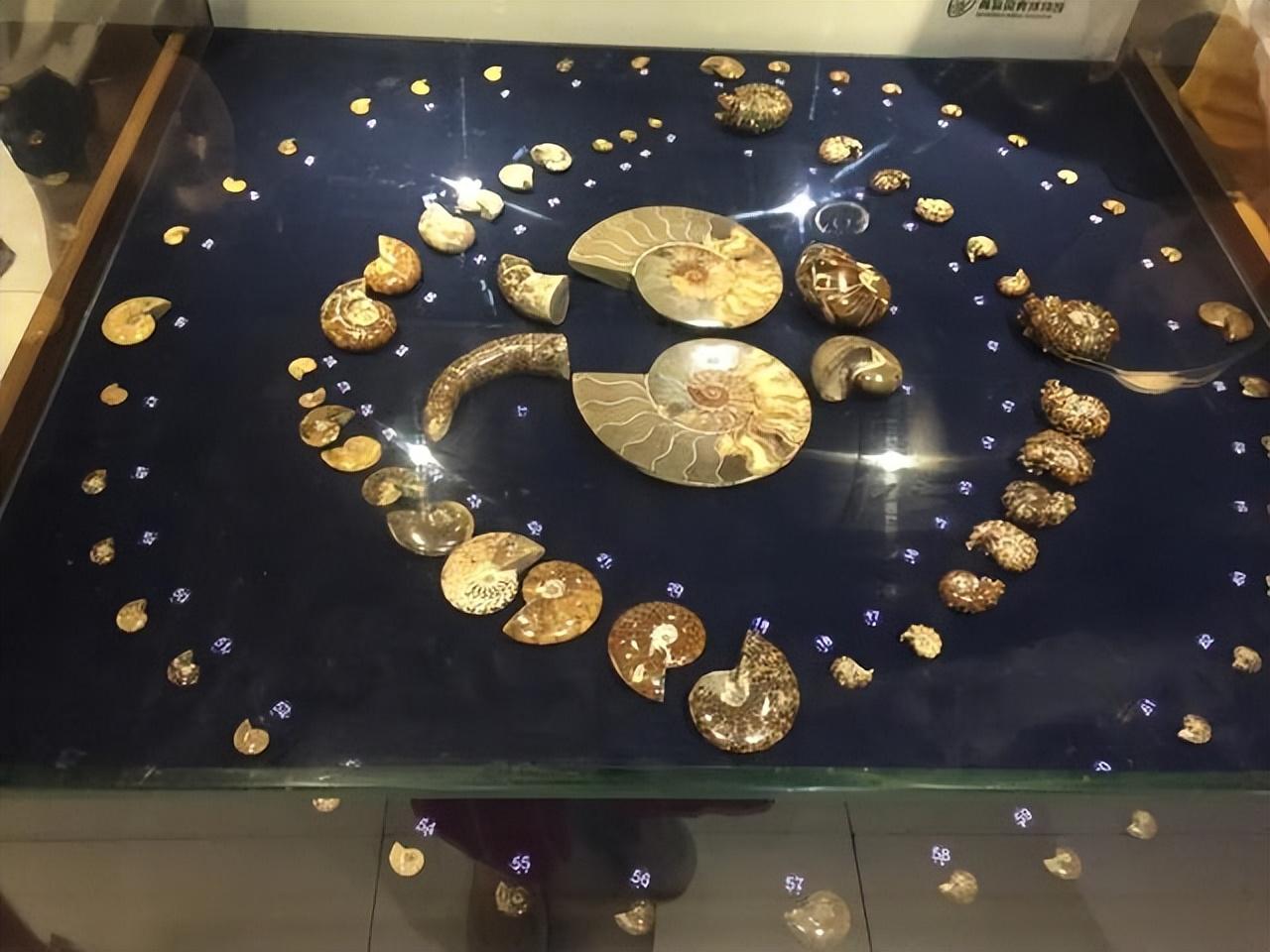 黄岛有什么好玩的地方景点推荐(青岛黄岛有什么好玩的地方)