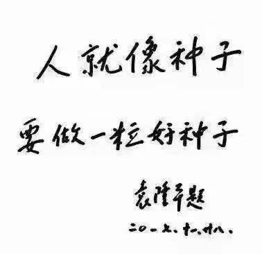 袁隆平有关事迹（袁隆平的一生事迹）(5)