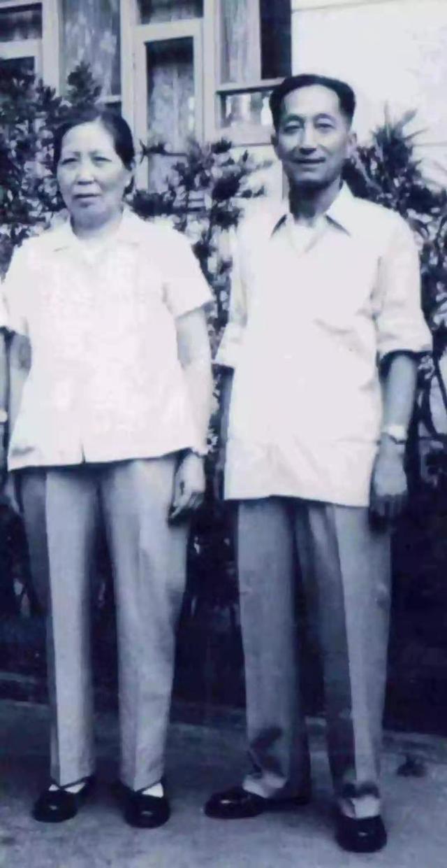 袁隆平有关事迹（袁隆平的一生事迹）(3)