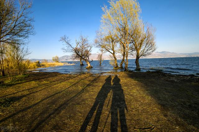 国内十大旅游景点排名（十大国内旅游景点排行大全）(4)