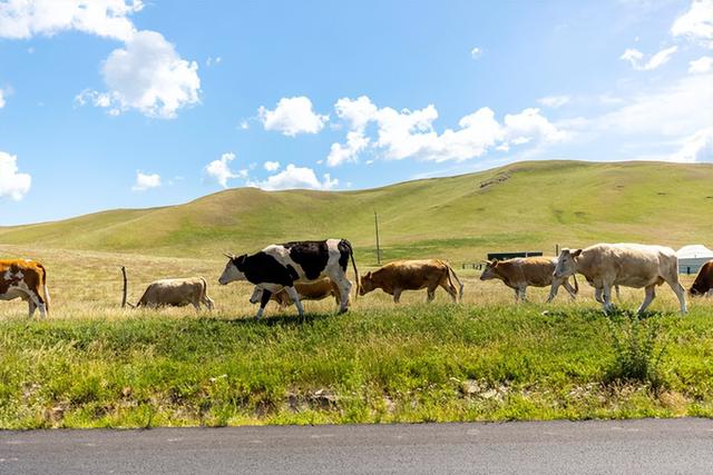 内蒙古5天自驾游最佳路线推荐（内蒙最美自驾路线）(22)