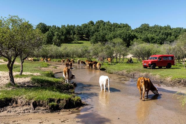 内蒙古5天自驾游最佳路线推荐（内蒙最美自驾路线）(4)