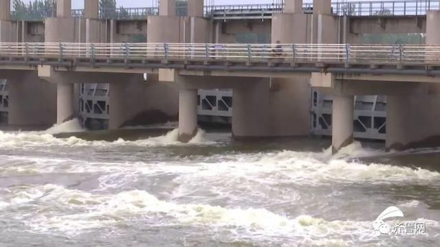 山东将迎大到暴雨局部大暴雨（山东4市迎来暴雨大暴雨）(6)