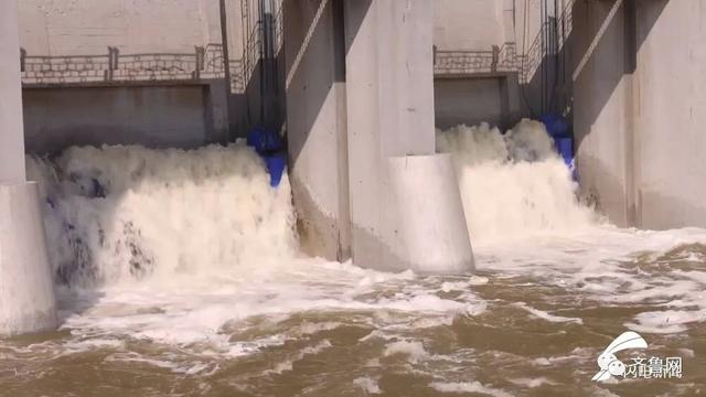 山东将迎大到暴雨局部大暴雨（山东4市迎来暴雨大暴雨）(9)