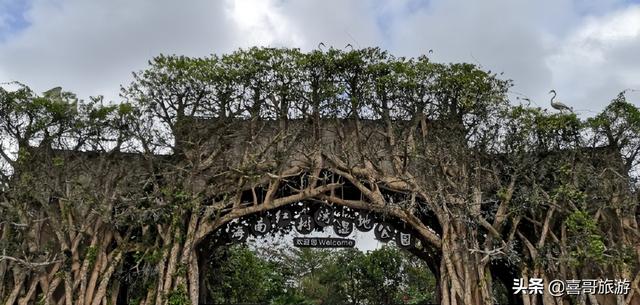 海南岛十大旅游景点介绍（海南岛旅游景点有哪些）(2)